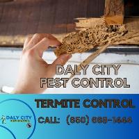 Daly City Pest Control image 4