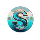 SBorges Pressure Washing Services logo