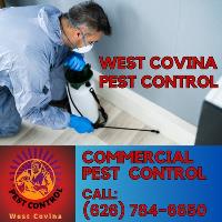 West Covina Pest Control image 2