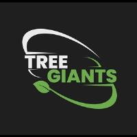 Tree Giants image 1