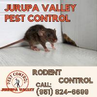 Jurupa Valley Pest Control image 3