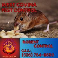 West Covina Pest Control image 4