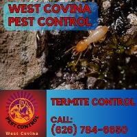 West Covina Pest Control image 5