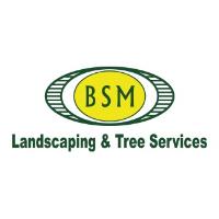BSM Landscaping and Tree Service image 1