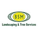 BSM Landscaping and Tree Service logo
