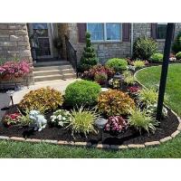 BSM Landscaping and Tree Service image 2