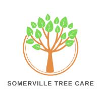 Somerville Tree Service image 1