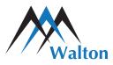 Walton Management Services logo