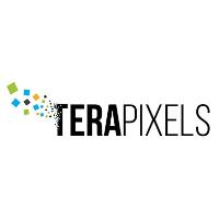 TeraPixels Systems image 1