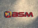 BSM - Denver SEO logo