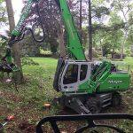 Mayer Tree Service image 3