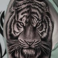 Jose Torres Tattoo image 4