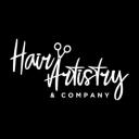 Hair Artistry & Suites logo