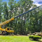 Mayer Tree Service image 15