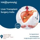 Cost of Liver Transplant Surgery India logo