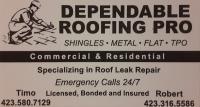 Dependable Roofing Pro image 1