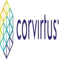 Corvirtus image 4