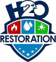H20 Restoration image 1