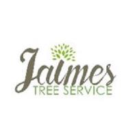 Jaimes Tree Service image 1
