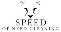 Speed of Need Cleaning image 5
