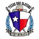 Texas Bug Slayers logo