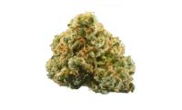 La Bodega Weed Marijuana Dispensary image 1