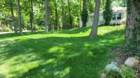 Landscaping Services in Glenview image 2