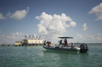 Ocean Force Adventures Miami Boat Tour image 1