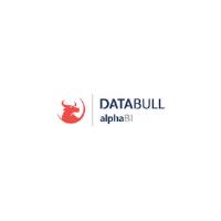 The Data Bull image 1