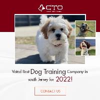 CTO Dog Training image 5
