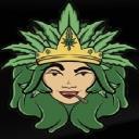 Queen Cannabis NYC Marijuana Weed Dispensary logo