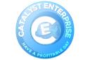 Catalyst Enterprise VA logo