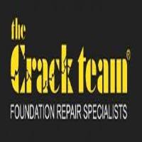 The Crack Team image 1