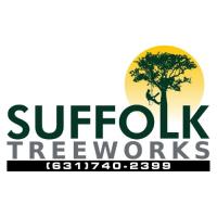 Suffolk Treework LI image 15