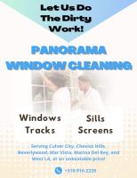 Panorama Window Cleaning image 13
