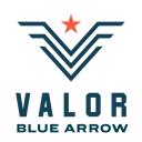 Blue Arrow Lending logo