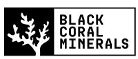Black Coral Minerals image 1