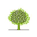Haddon Tree Co logo