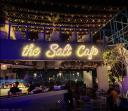 The Salt Cafe logo