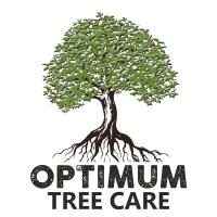 Optimum Tree Care image 1