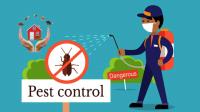 Pestman Pest control image 2