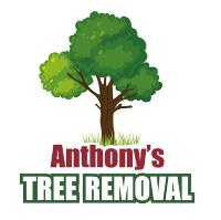 Anthony's Tree Removal image 1