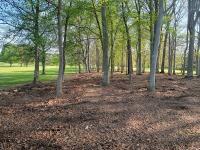 Yarger's Forestry Mulching Services image 1