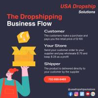 USA Dropship Solutions image 3