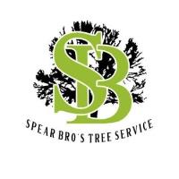 Spear Bro's Tree Service image 1