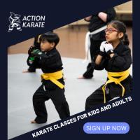 Action Karate Feasterville image 4