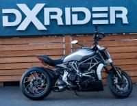 DX Rider image 2