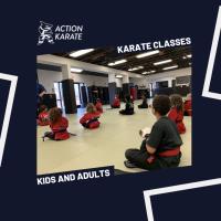 Jamison Action Karate image 1