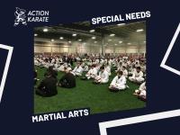 Action Karate North Wales image 6
