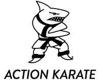 Action Karate Main Line image 1